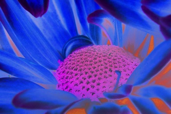 F 068B